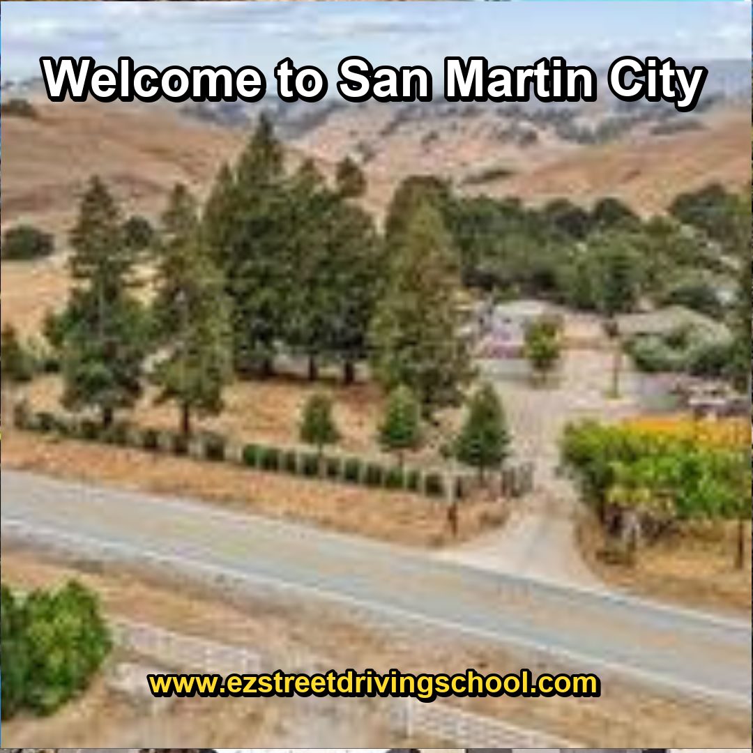 Driving Lessons in San Martin